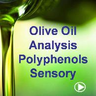 Olive Oil Analysis, Polyphenols and Sensory Analysis